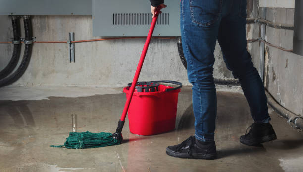 Eldorado, IL Water damage restoration Pros