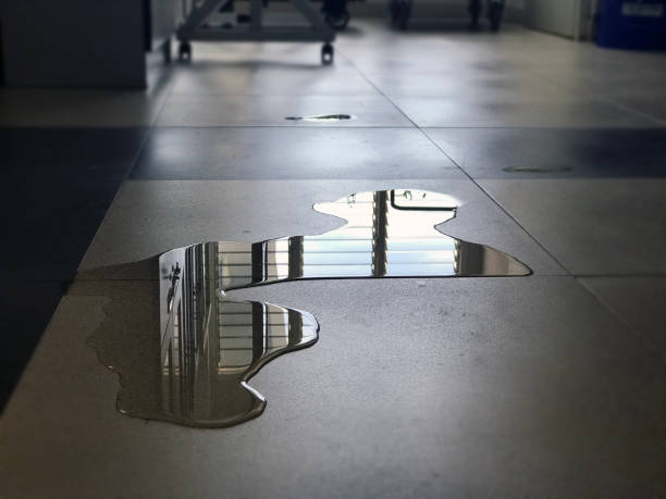 Best Carpet water damage restoration  in Eldorado, IL