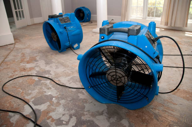 Best Sewage cleanup and water damage restoration  in Eldorado, IL