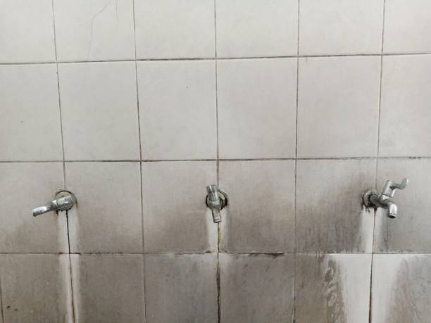 Best Basement water damage restoration  in Eldorado, IL