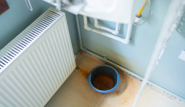 Best Mold removal after water damage  in Eldorado, IL