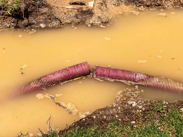 Best Emergency water damage restoration  in Eldorado, IL