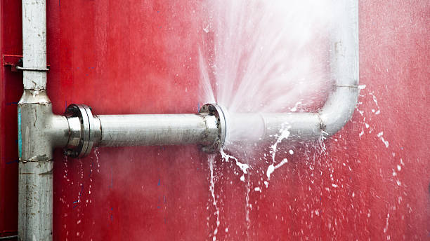 Best Water damage cleanup near me  in Eldorado, IL